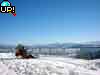 Pfaender̒
