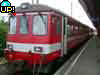 Gossauw