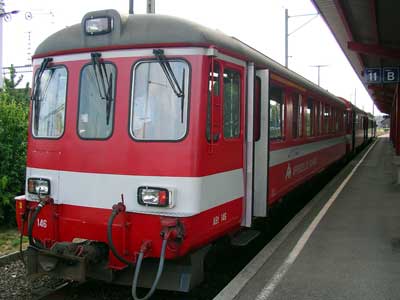 Gossauw