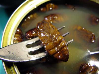 鋰饥
