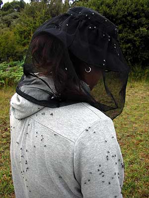 nG