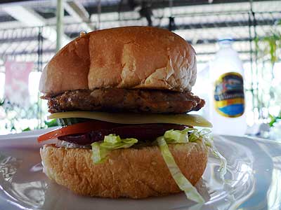 Humberger in Jabiru