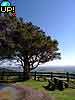 Millaa Millaa lookout