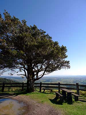 Millaa Millaa lookout