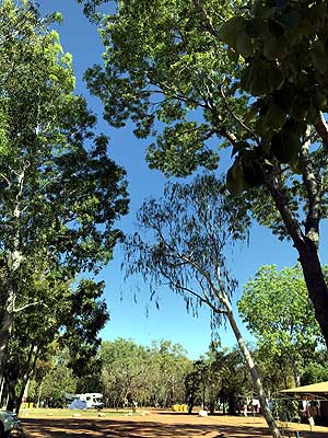 Cooinda 1