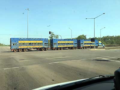 Load Train