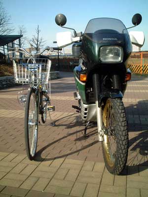 AlSUS & TRANSALP