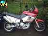Elefant900