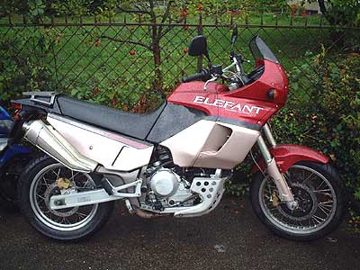 Elefant 900